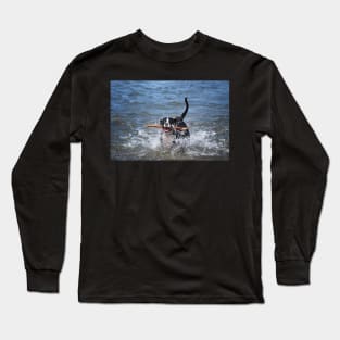 Dog Days Of Summer Long Sleeve T-Shirt